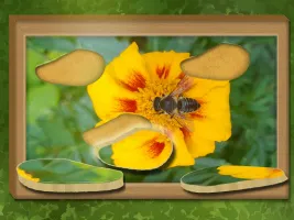 Find & Restore: Hidden Puzzle