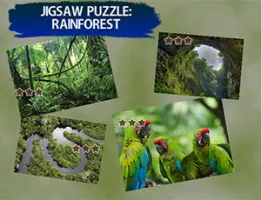 Jigsaw Puzzle Rain Forest